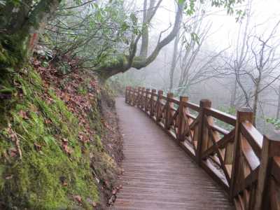 Aydınpınar Şelaleleri Tabiat Parkı